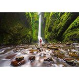 Aqua Quest SPORT 25 Gray Waterproof Backpack 25L Reflective for Safety for Motorcycle, Bicycle,