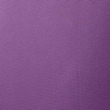 American Tourister Zoom 25 Spinner, Purple