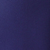 Samsonite 2 Piece Spinner Set Royal Blue