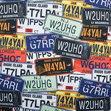 Samsonite Printed Luggage Cover-Extra Large, License Plate