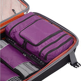 Ebags Pack-It-Flat Large Toiletry Kit (Titanium)