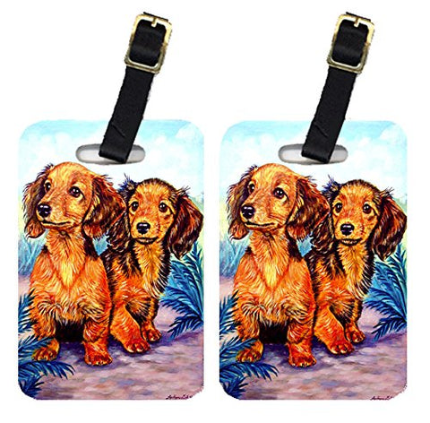 Caroline'S Treasures 7022Bt Long Hair Red Dachshund Luggage Tags Pair Of 2, Large, Multicolor
