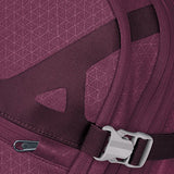 Eagle Creek Gear Warrior AWD 29 Inch Luggage, Concord