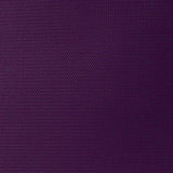 American Tourister Ilite Max Softside Spinner 25, Purple