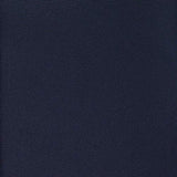 AmazonBasics Underseat Luggage, Navy