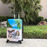 Chariot 20" Lightweight Spinner Carry-On Upright Suitcase - Kona