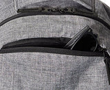 Amazonbasics Campus Backpack, Grey