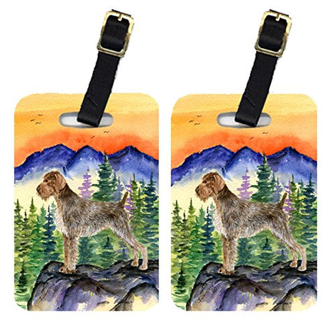 Caroline's Treasures SS8226BT Pair of 2 German Wirehaired Pointer Luggage Tags, Large, multicolor