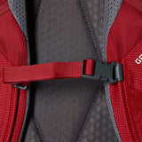 Gregory Mountain Products Signal Women's Daypack, Desert Rose, One Size