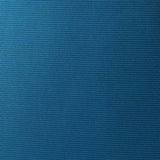 Samsonite Eco-Nu 19" Expandable Spinner Pacific Blue/Navy