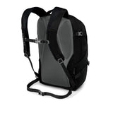 The North Face Women's Vault Backpack, Asphalt Grey Light Heather/Deep Garnet Red