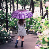 Plemo Automatic Umbrellas, Windproof Purple Daisy Design Compact Folding Umbrellas with Anti-Slip