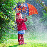 DC Comics Little Superhero Girls Character Rainwear Umbrella, red/Blue, Age 3-7