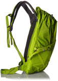 Osprey Packs Momentum 26 Daypack, Orchard Green