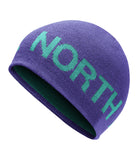 The North Face Reversible TNF Banner Beanie - Deep Blue & Porcelain Green - OS