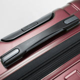 DELSEY Paris Luggage Checked-Large, Purple