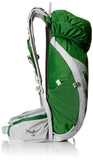 Osprey Packs Talon 18 Backpack 2016 Model, Shamrock Green, Medium/Large