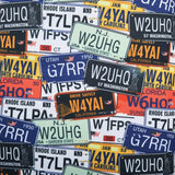 Samsonite Checked-Medium, License Place