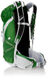 Osprey Packs Talon 18 Backpack 2016 Model, Shamrock Green, Medium/Large