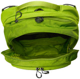 Osprey Packs Momentum 26 Daypack, Orchard Green