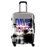 Davidjones Wheel Travel Suitcase Trolley Bag Spinner Large Women Rolling Luggage Bag Girl Vintage