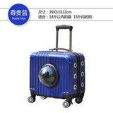 Carrylove Breathable, Convenient, Travel With Your Pet 16 Inch Size  Abs Rolling Luggage Spinner