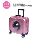 Carrylove Breathable, Convenient, Travel With Your Pet 16 Inch Size  Abs Rolling Luggage Spinner