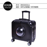 Carrylove Breathable, Convenient, Travel With Your Pet 16 Inch Size  Abs Rolling Luggage Spinner