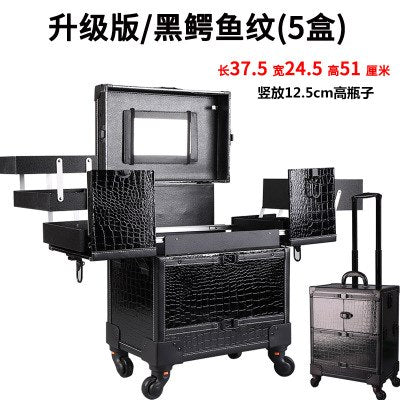 Woman Cosmetic Case Profession Travel Suitcase For Makeup Trolley Nails Box Beauty Professional