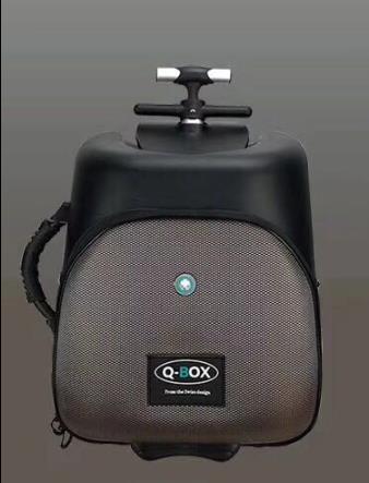 Carrylove High Quality And Convenient Kids Scooter Suitcase Lazy Carry On Rolling Luggage Ride On