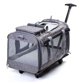 High Quality Foldable Pet Rolling Luggage Spinner Cat And Dog Suitcase 20 Inch Carry On Trolley