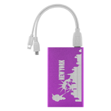 New York New York Travel Expert Power Charger